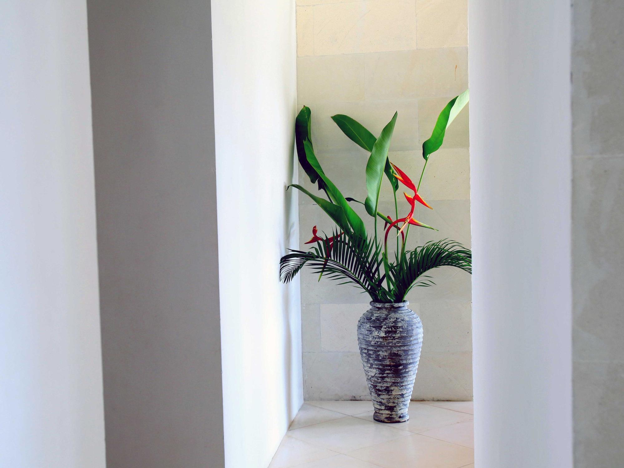 Jeda Villa Modern Stylish Luxury Villa Pemuteran Extérieur photo